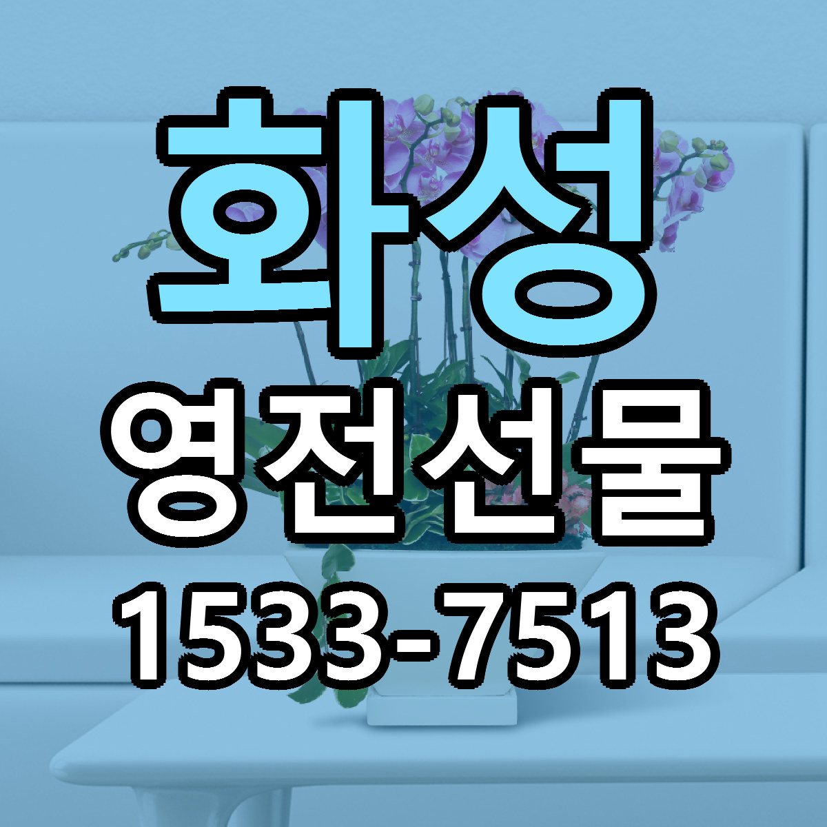 화성 영전선물 당일배송 리본문구 싼곳 찾기