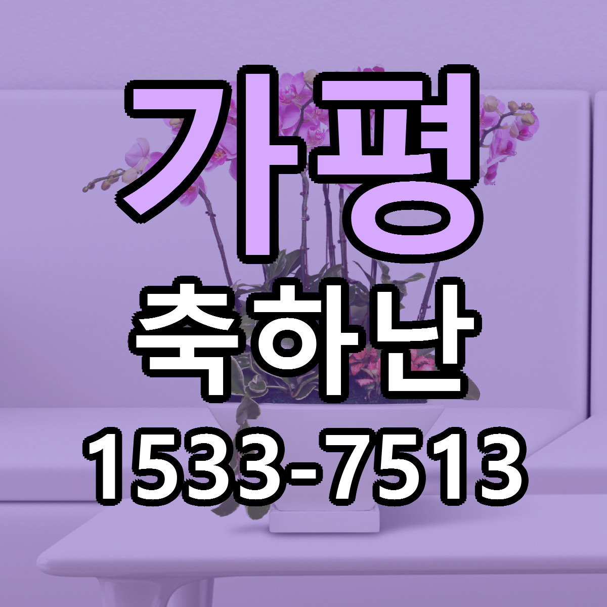가평 축하난 당일배송 싼곳 리본문구 안내