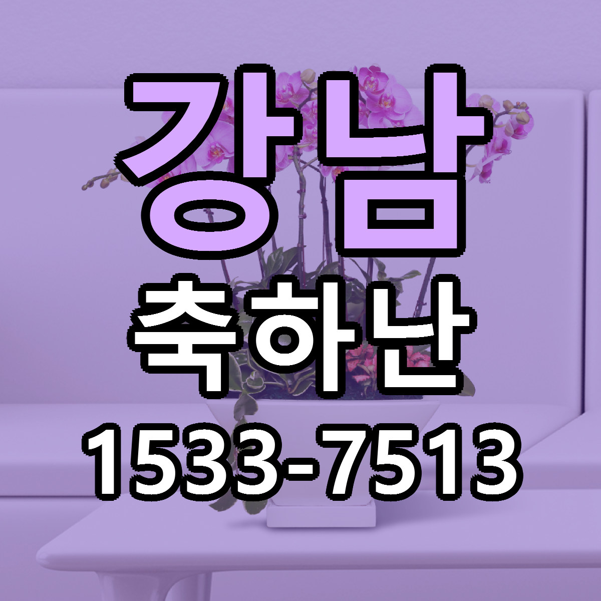 강남 축하난 당일배송 저렴한곳 리본문구 추천