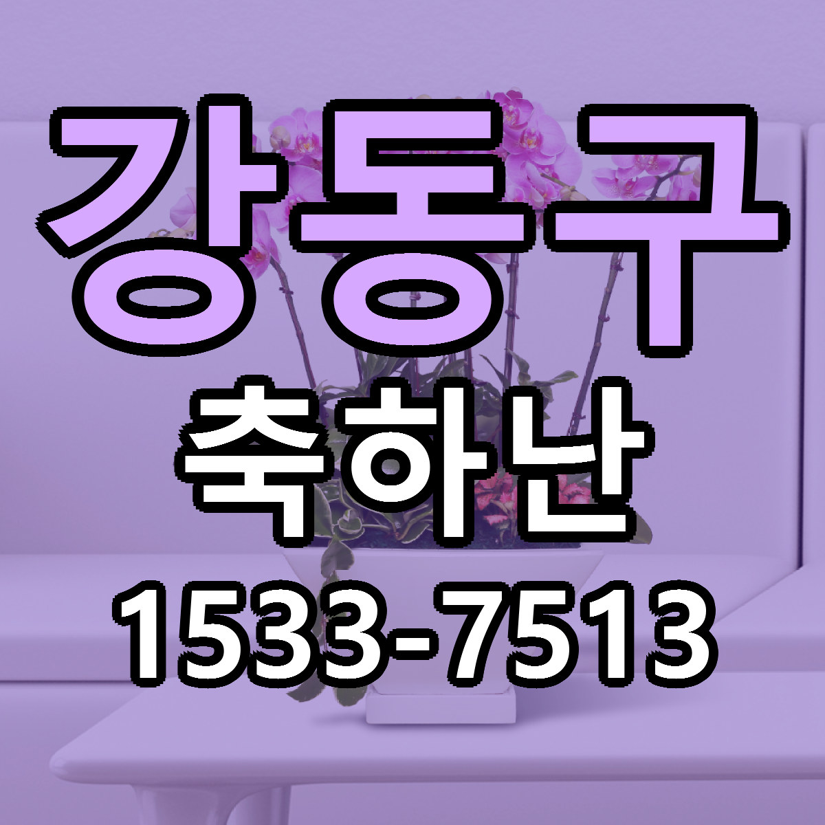 강동구 축하난 근처꽃집 싼곳 빠른배송 안내