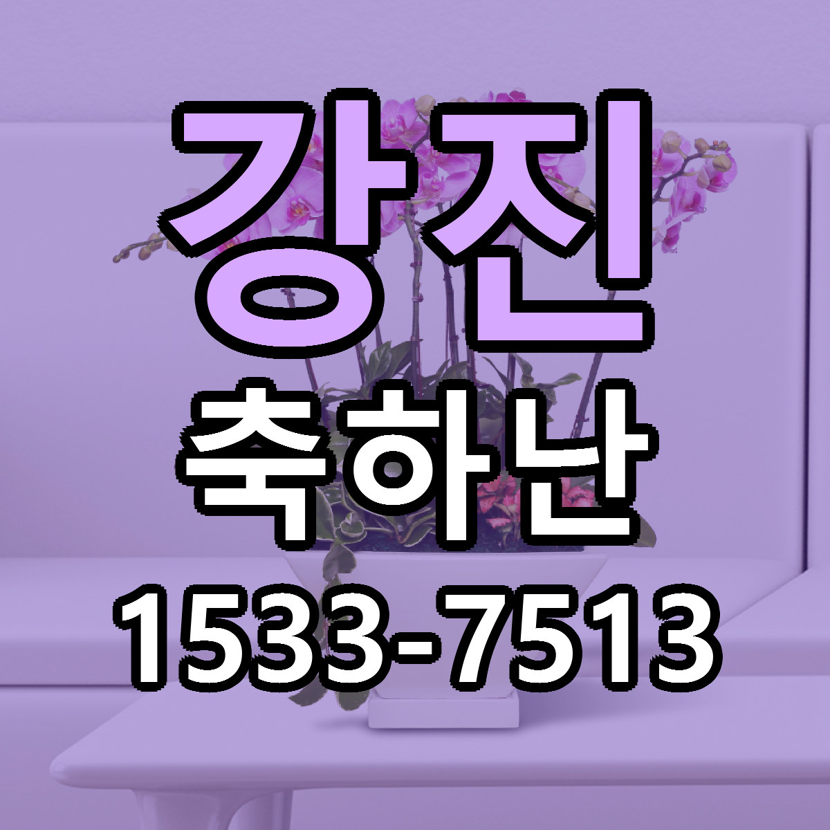 강진 축하난 저렴한곳 당일배송 가격 만족