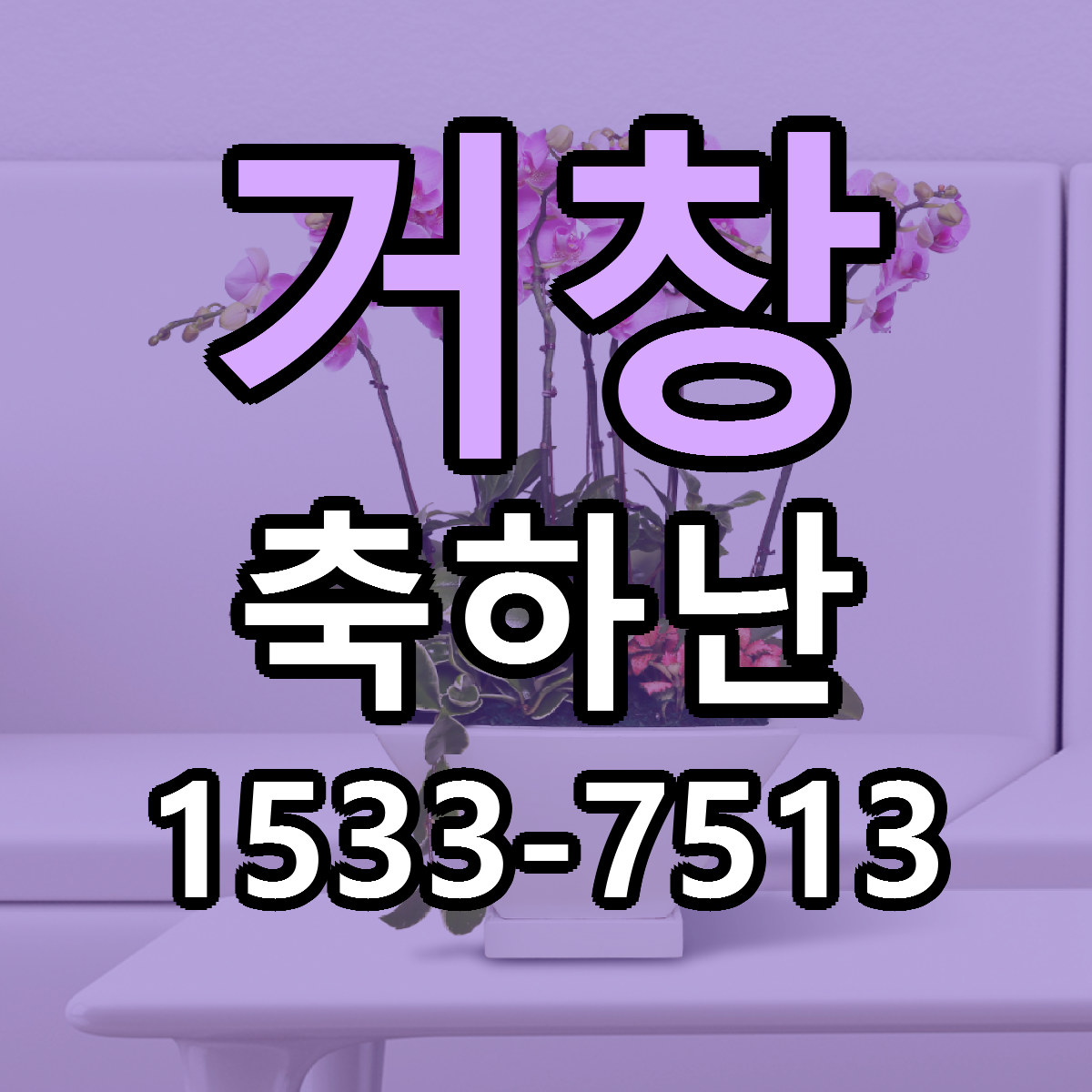 거창 축하난 싼곳 당일배송 리본문구 작성