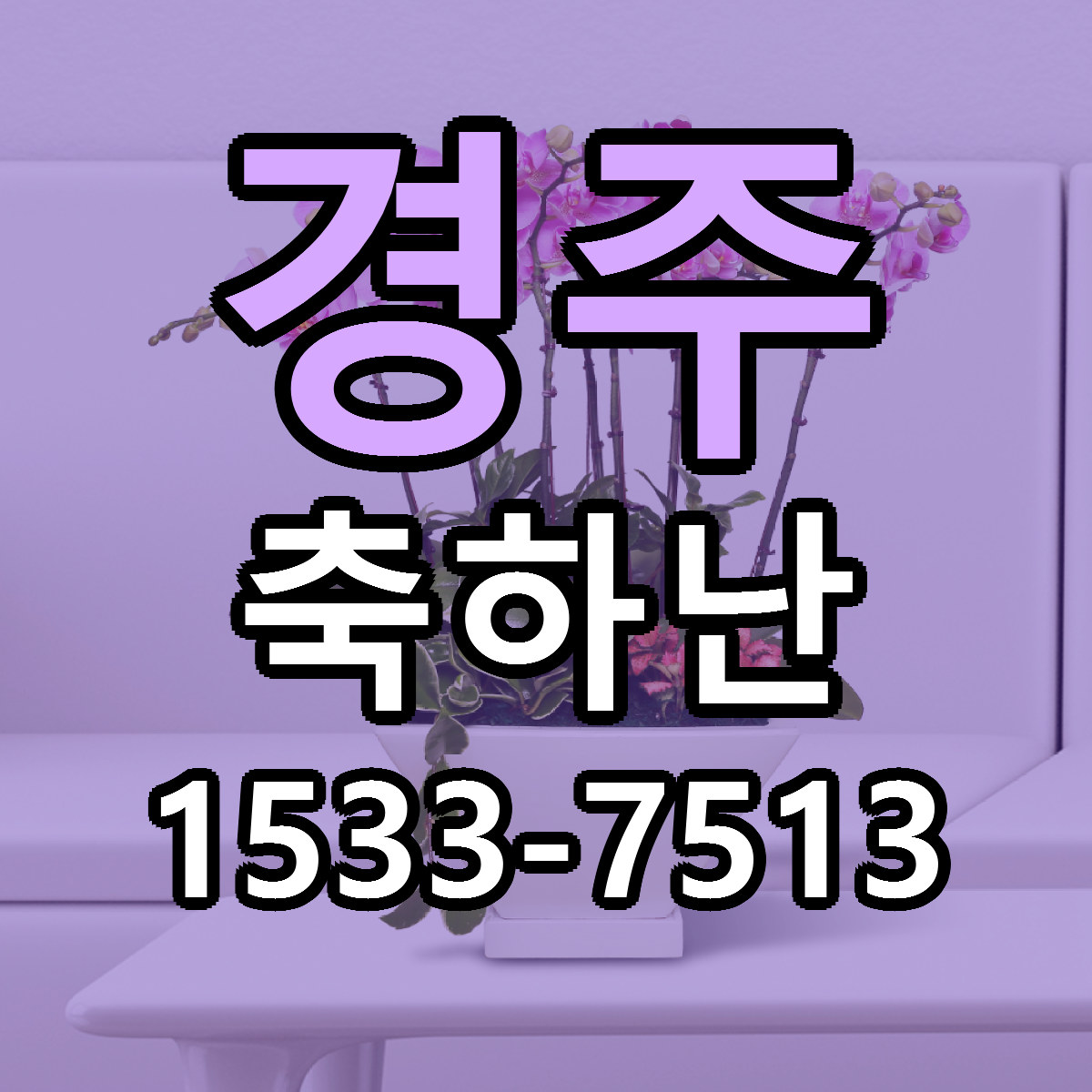 경주 축하난 근처꽃집 당일배송 리본문구 서비스