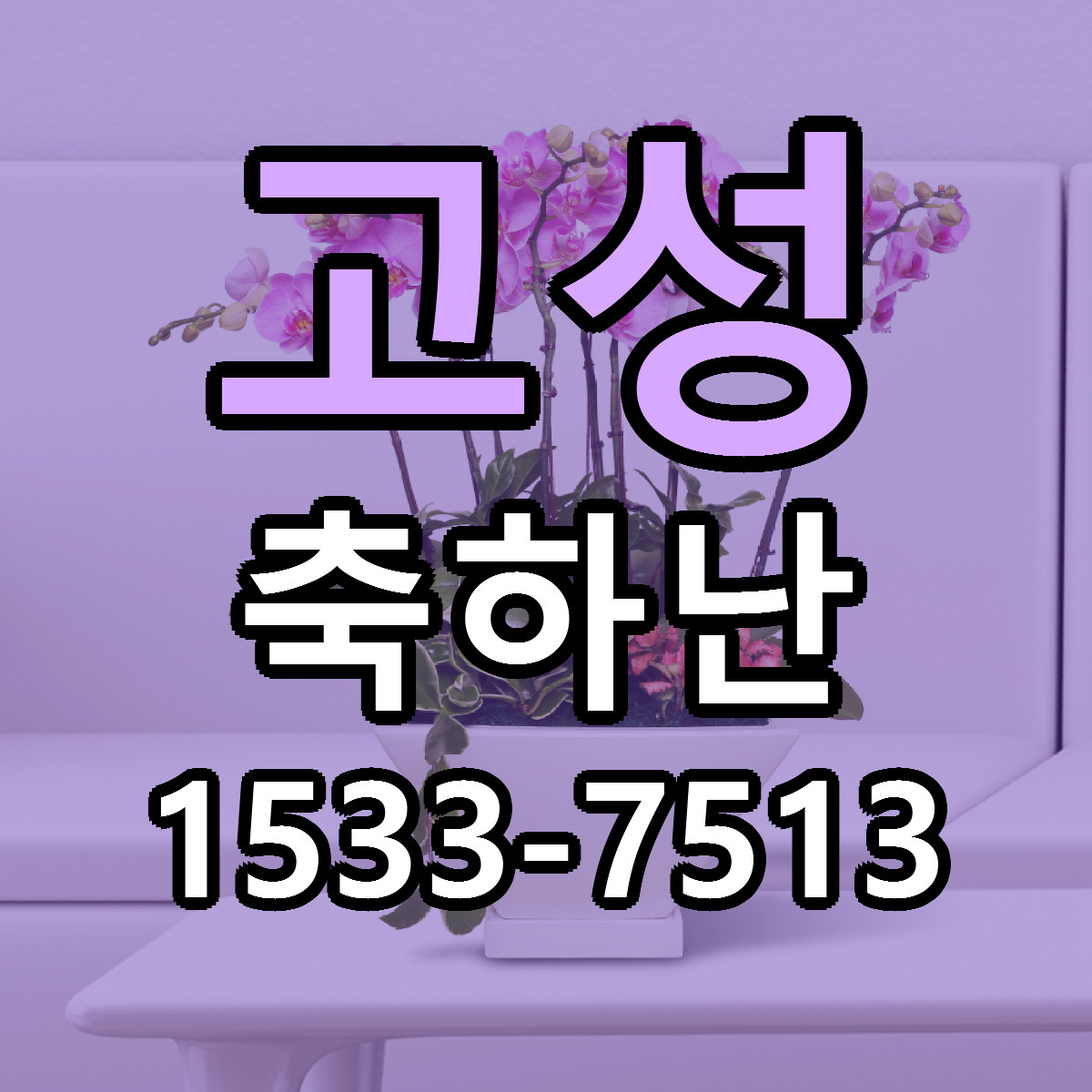 고성 축하난 당일배송 빠른배송 싼곳 찾기