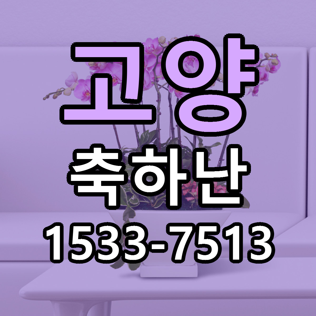 고양 축하난 근처꽃집 당일배송 리본문구 서비스