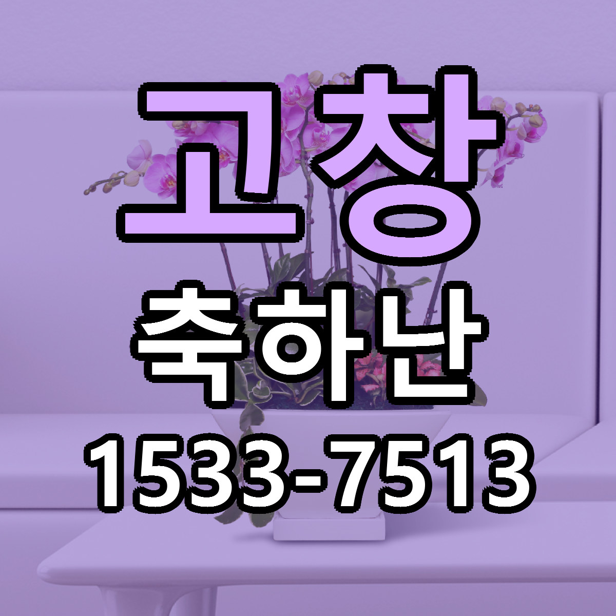 고창 축하난 당일배송 리본문구 싼곳 찾기
