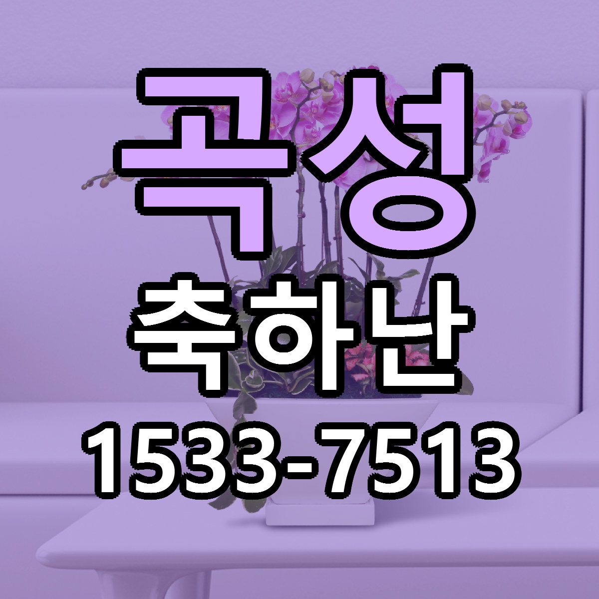 곡성 축하난 가격 만족 저렴한곳 리본문구 작성