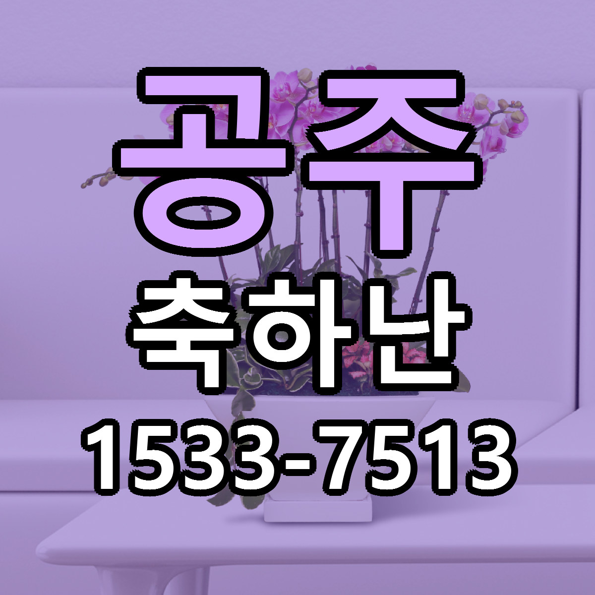 공주 축하난 당일배송 싼곳 리본문구 안내