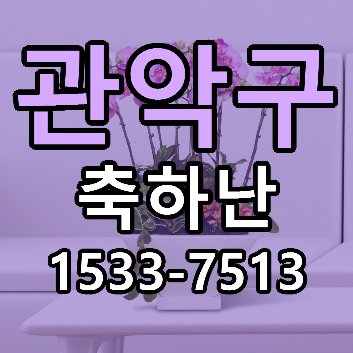 관악구 축하난 근처꽃집 당일배송 리본문구 서비스
