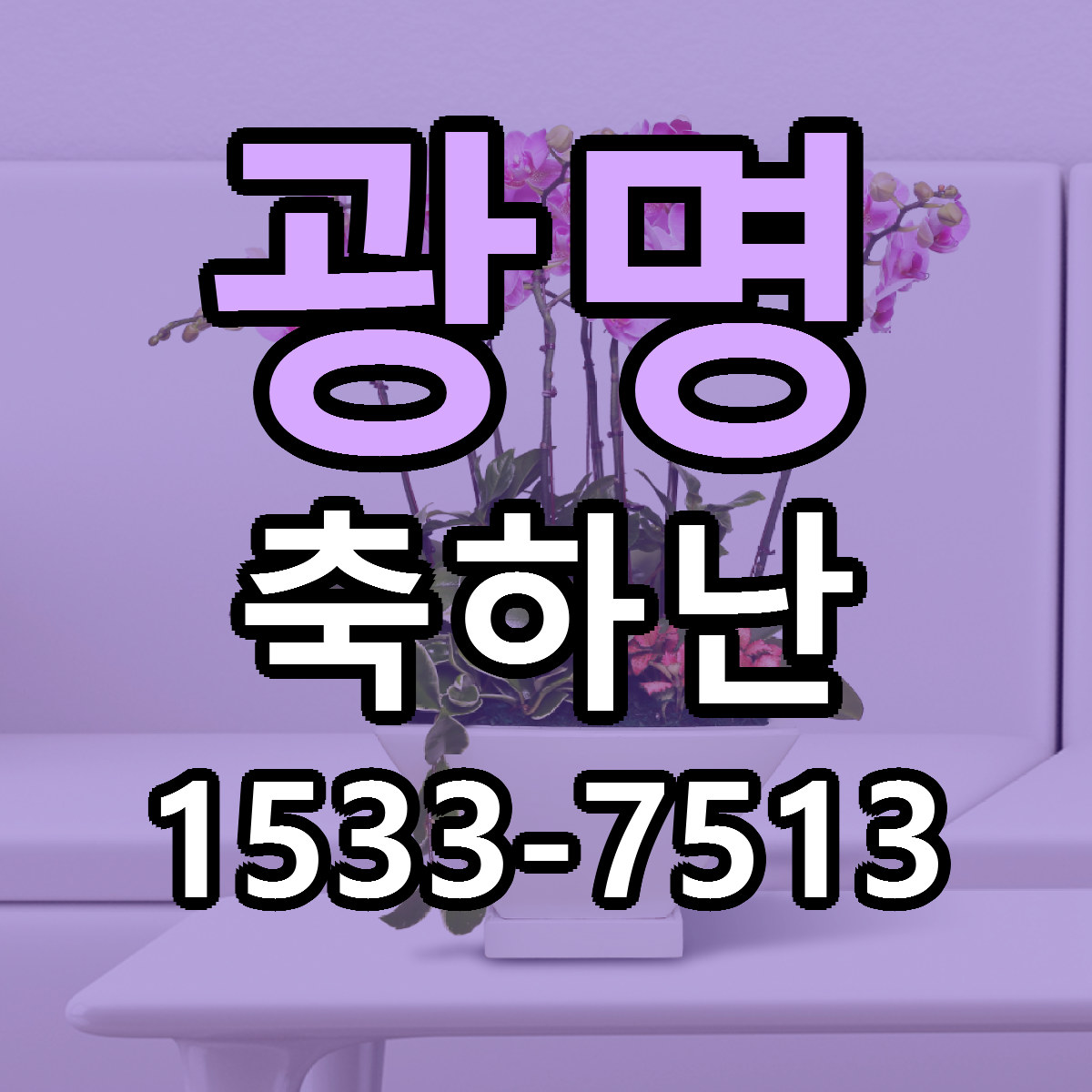 광명 축하난 빠른배송 가격 저렴한곳 찾기