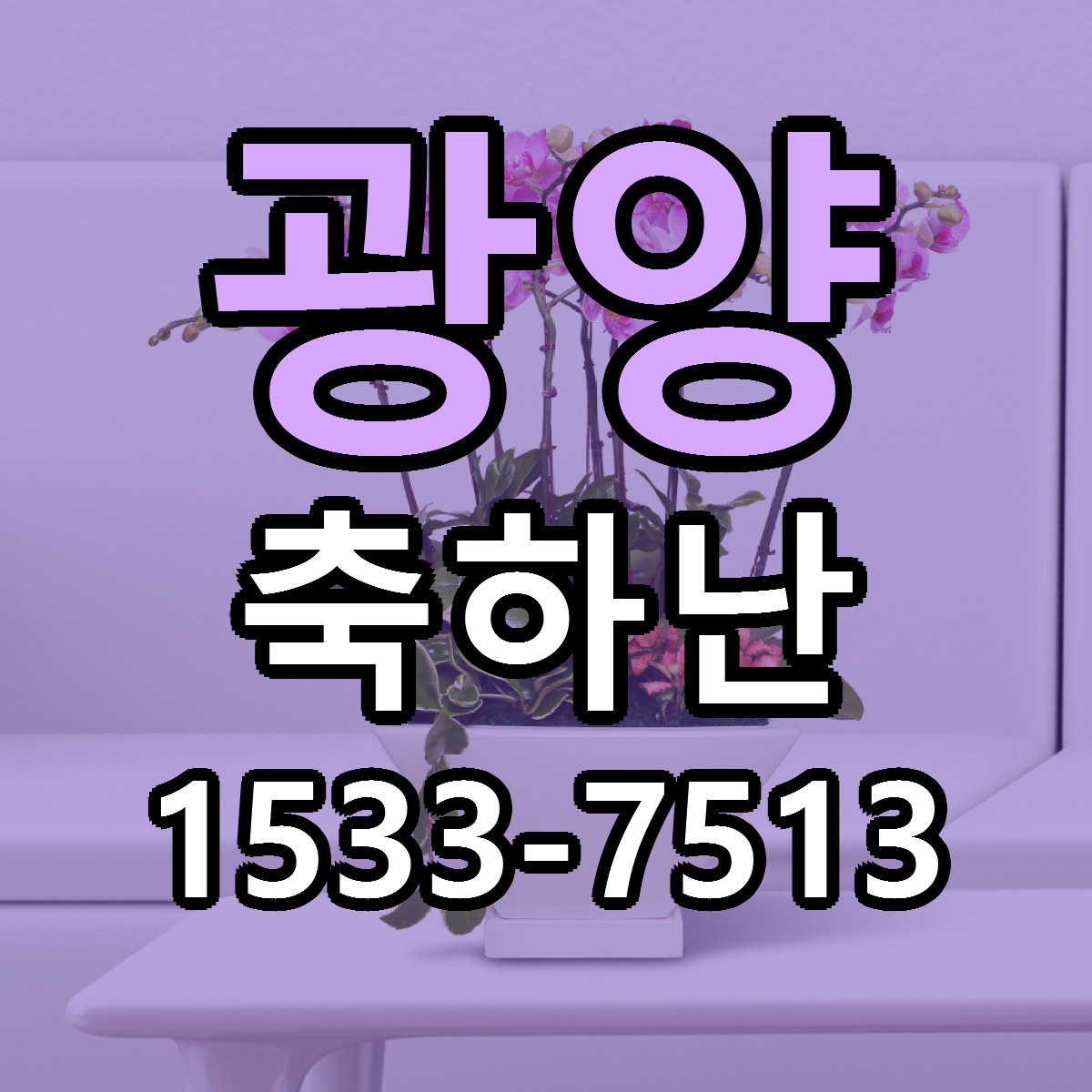 광양 축하난 리본문구 근처꽃집 저렴한곳 예약