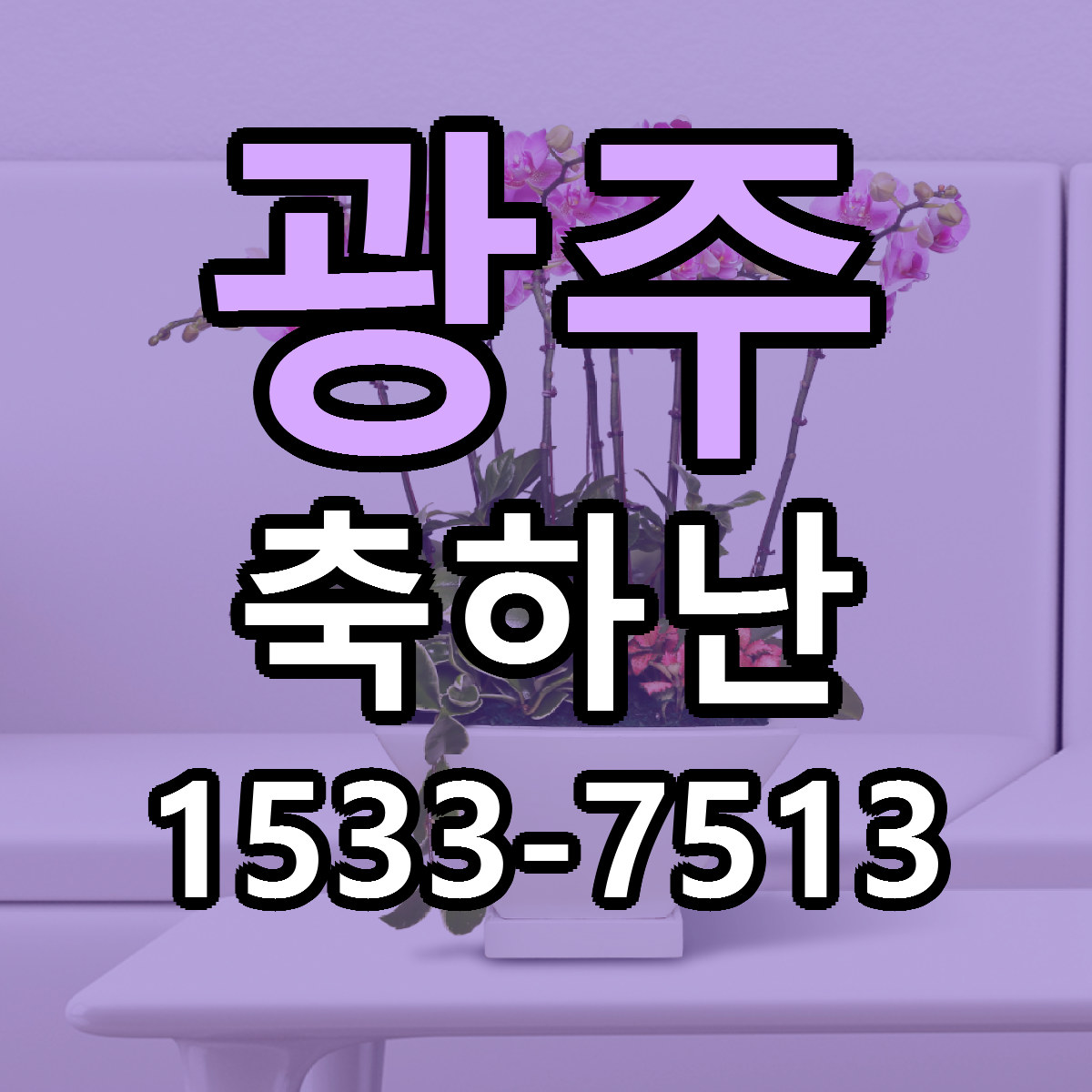 광주 축하난 당일배송 저렴한곳 리본문구 추천