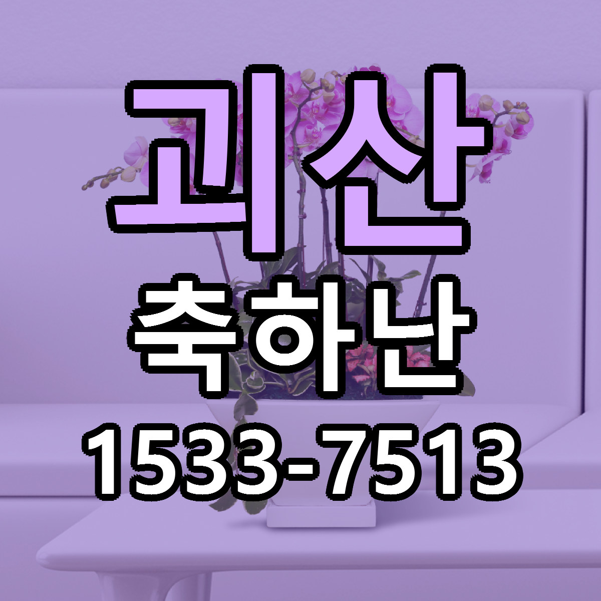 괴산 축하난 빠른배송 리본문구 근처꽃집 예약