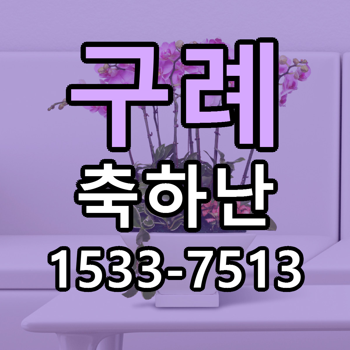구례 축하난 싼곳 빠른배송 리본문구 무료