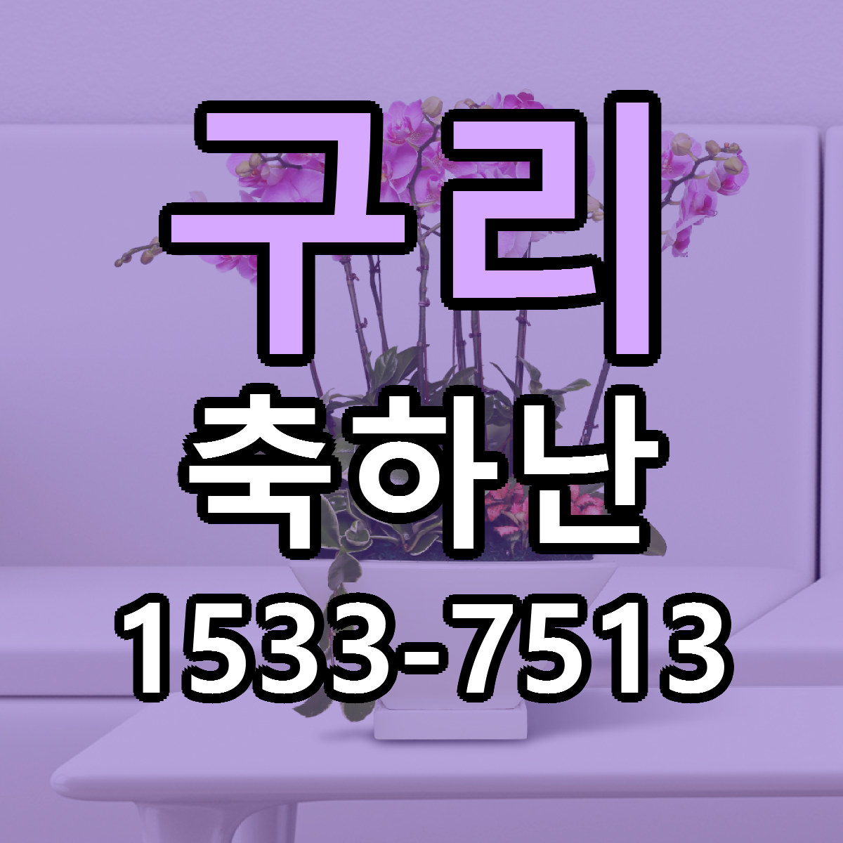구리 축하난 빠른배송 리본문구 근처꽃집 예약