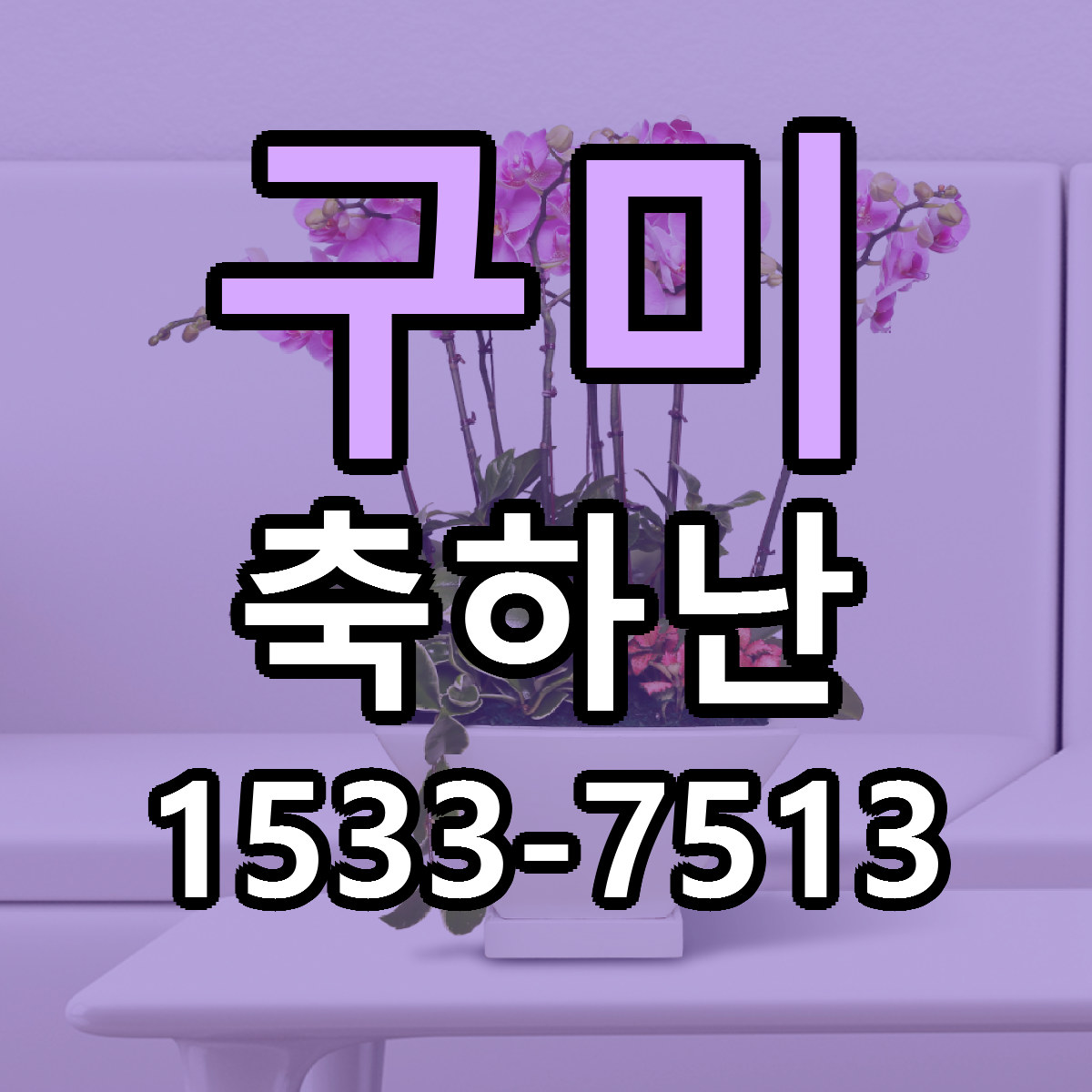 구미 축하난 빠른배송 리본문구 가격 알뜰 비교