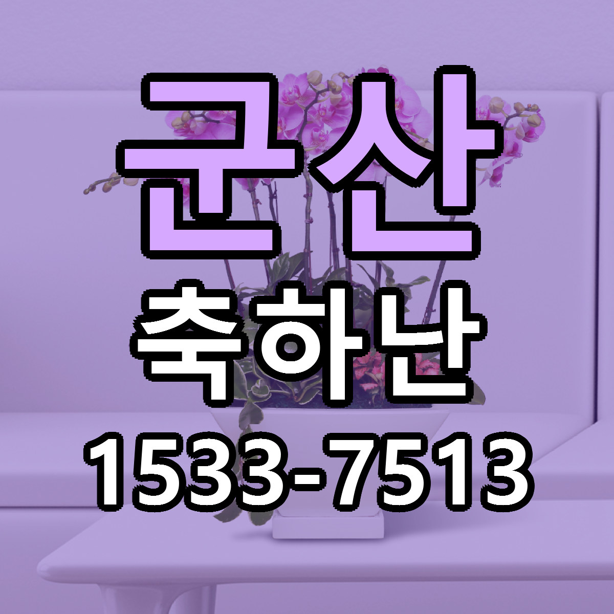군산 축하난 빠른배송 리본문구 근처꽃집 예약