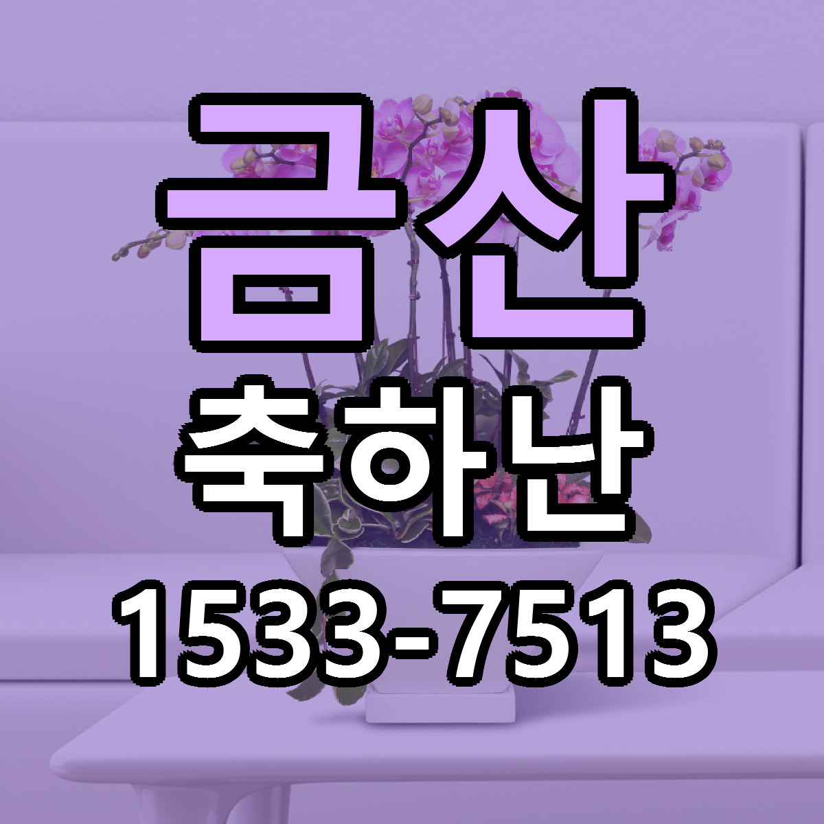 금산 축하난 근처꽃집 저렴한곳 빠른배송 서비스