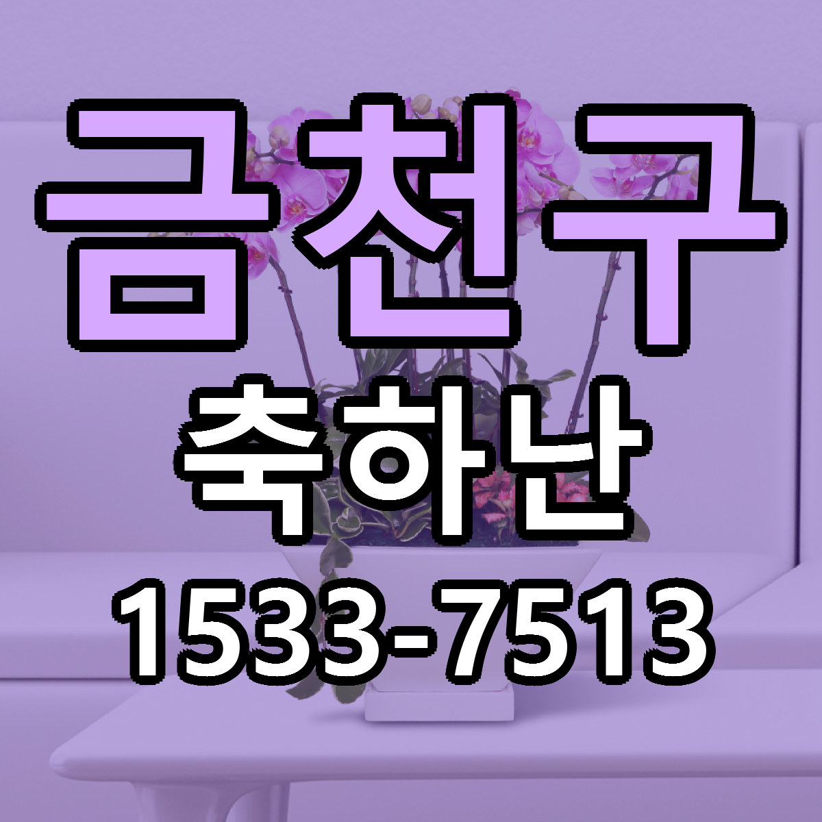 금천구 축하난 빠른배송 가격 저렴한곳 찾기