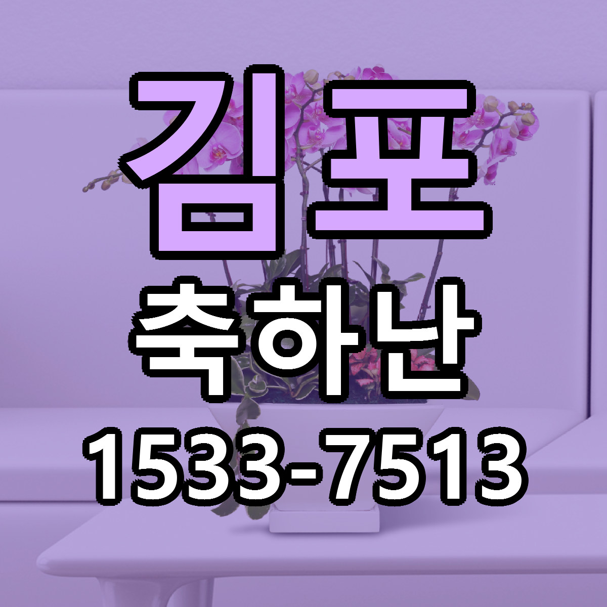 김포 축하난 근처꽃집 저렴한곳 빠른배송 서비스