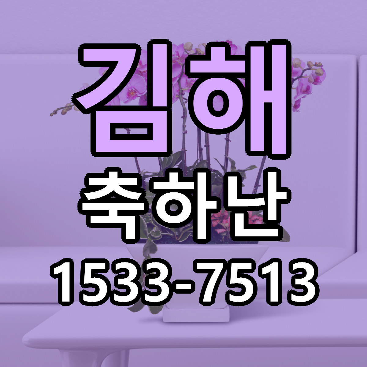 김해 축하난 리본문구 서비스 저렴한곳 빠른배송