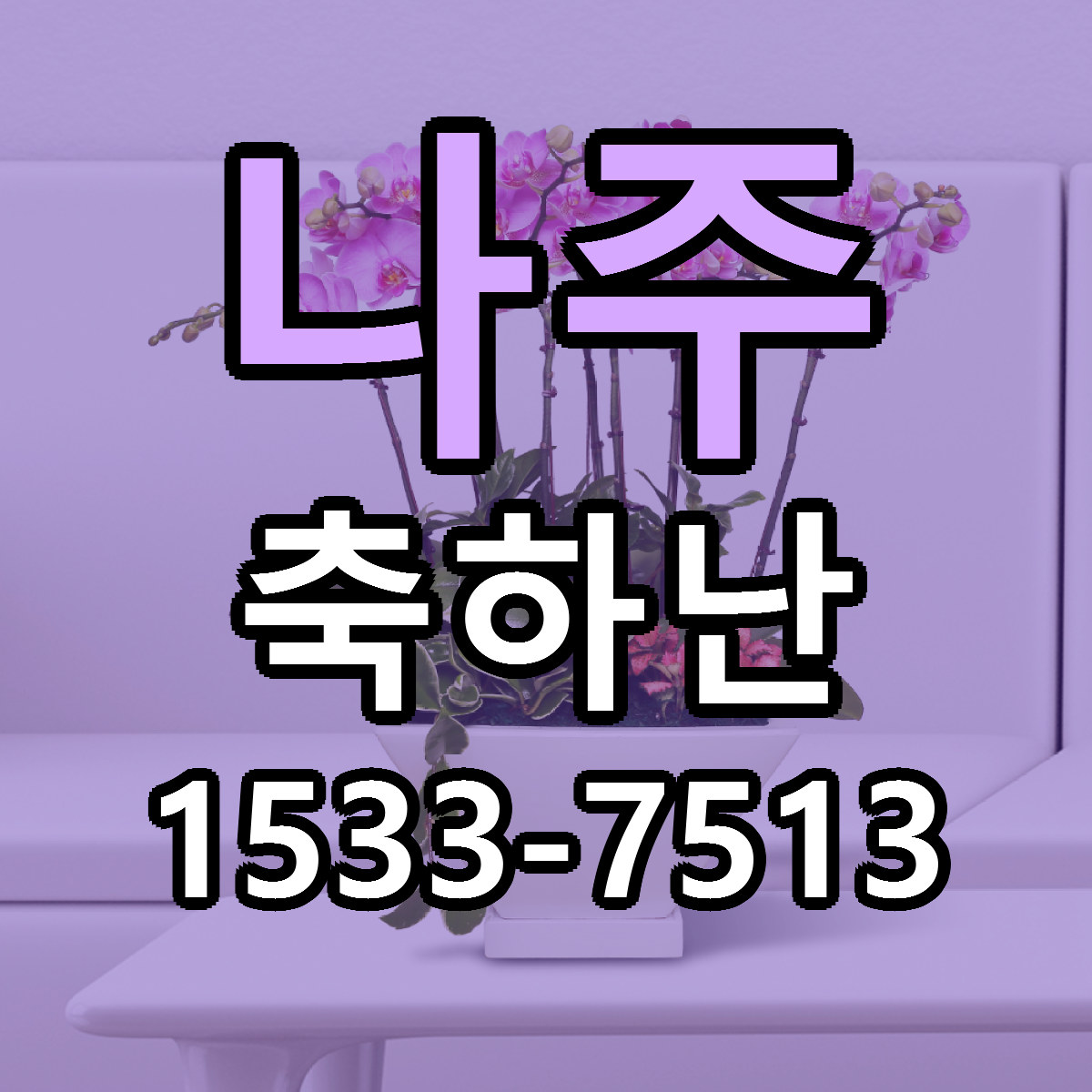 나주 축하난 빠른배송 가격 저렴한곳 찾기