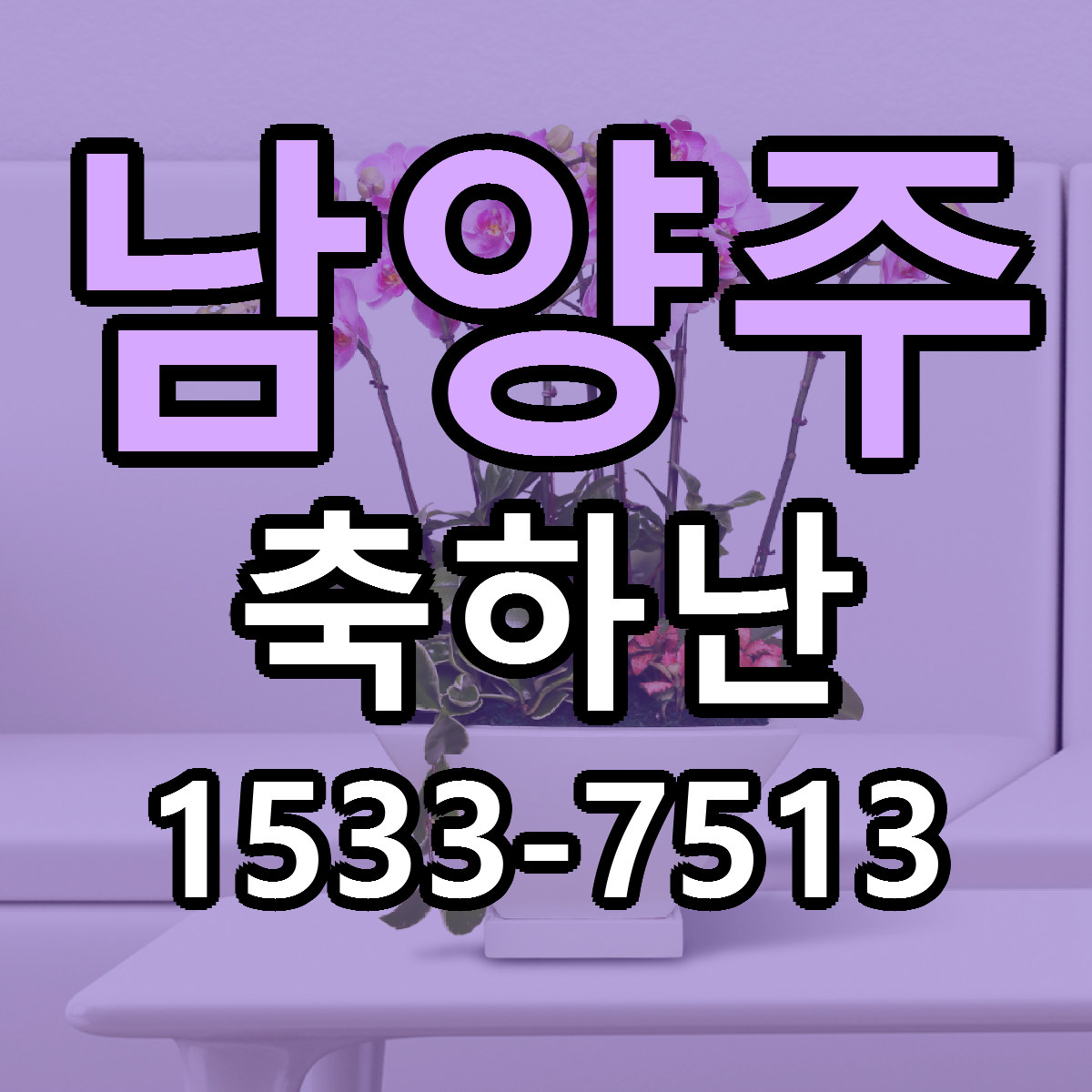 남양주 축하난 근처꽃집 당일배송 싼곳 추천