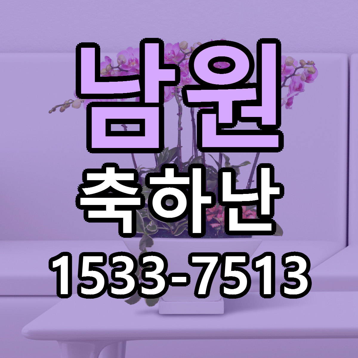 남원 축하난 빠른배송 가격 저렴한곳 찾기