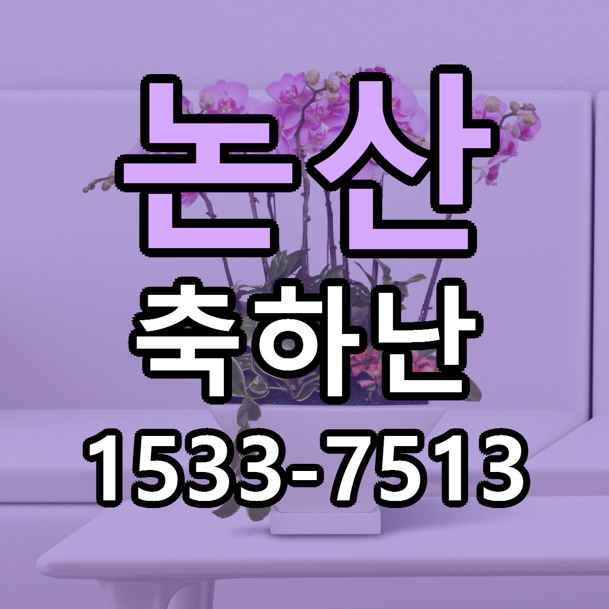 논산 축하난 빠른배송 리본문구 근처꽃집 예약