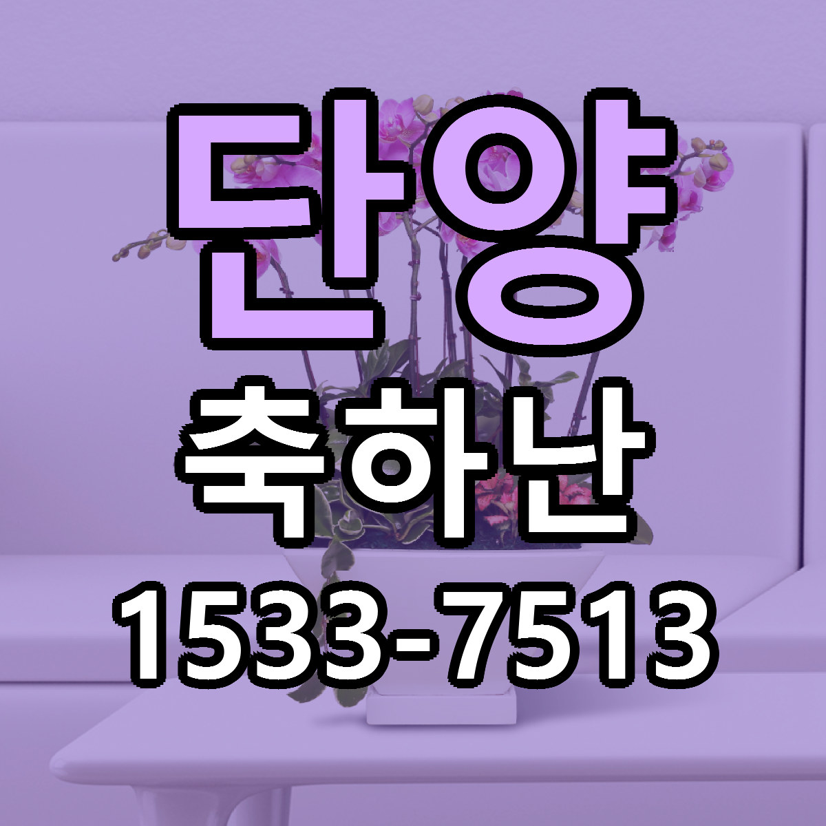 단양 축하난 당일배송 리본문구 싼곳 찾기