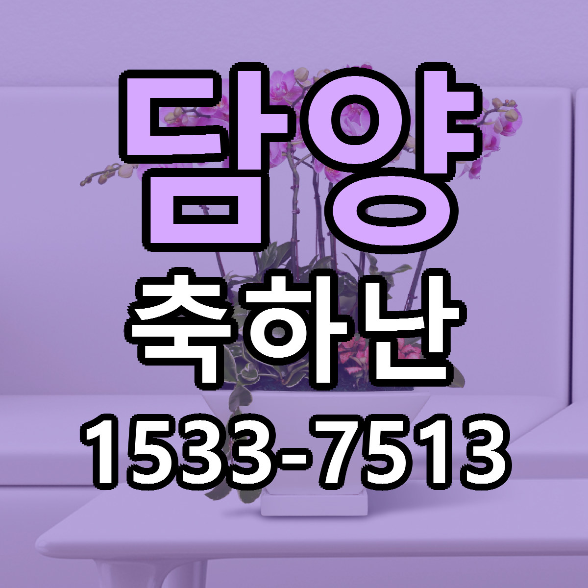 담양 축하난 당일배송 근처꽃집 싼곳 비교