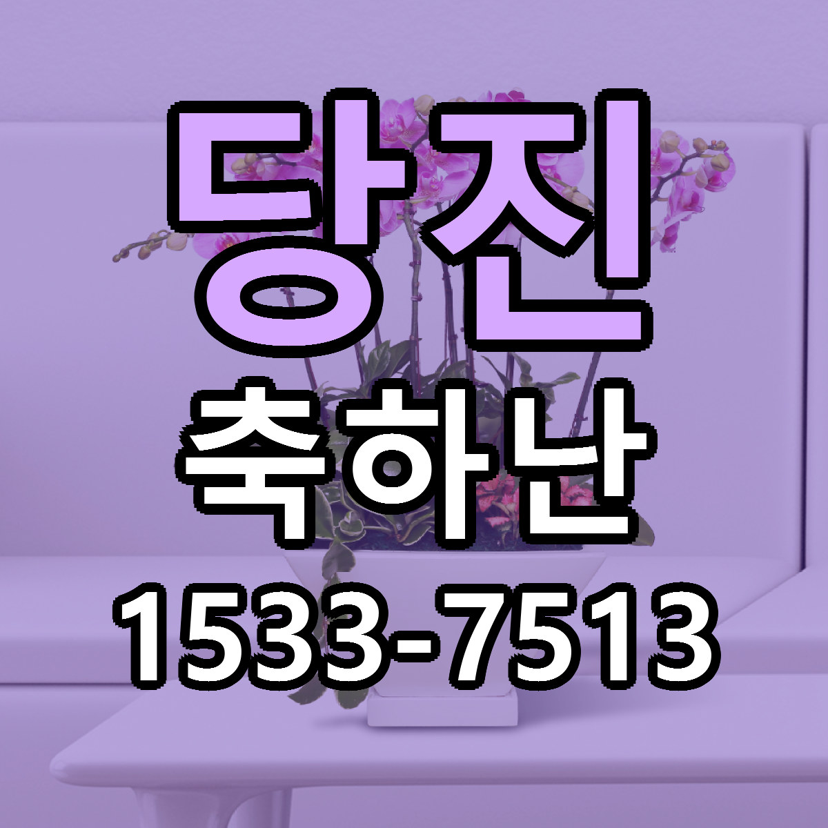 당진 축하난 당일배송 근처꽃집 싼곳 비교