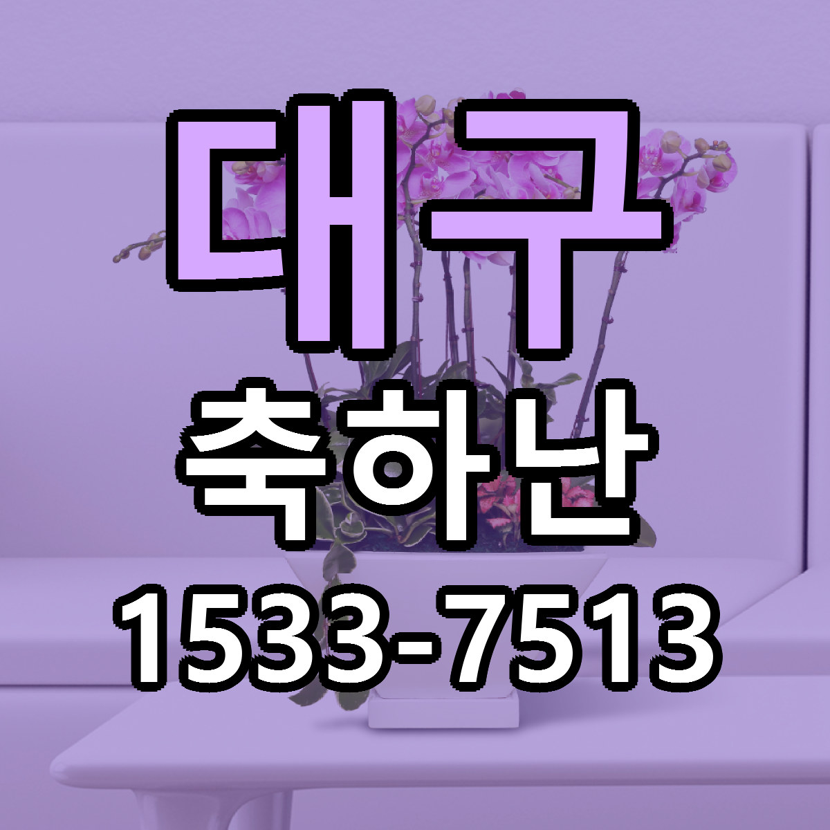 대구 축하난 가격 만족 저렴한곳 리본문구 작성