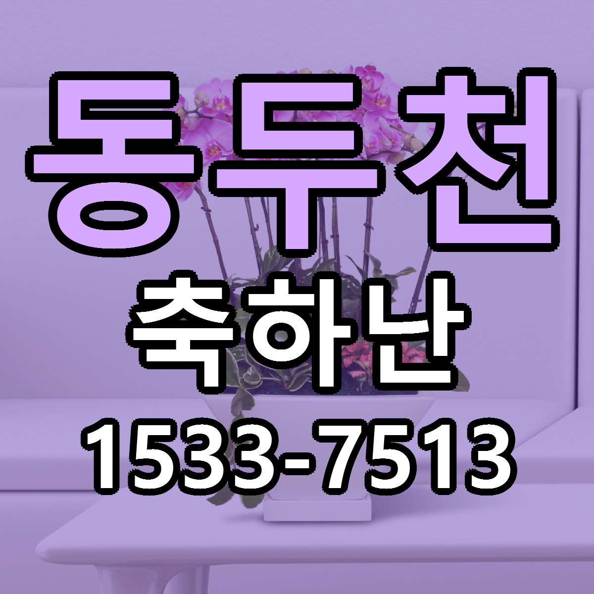 동두천 축하난 근처꽃집 당일배송 리본문구 서비스