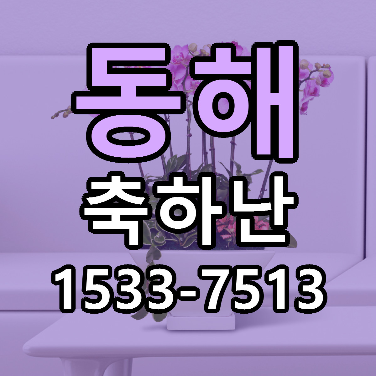 동해 축하난 당일배송 리본문구 빠른배송 서비스