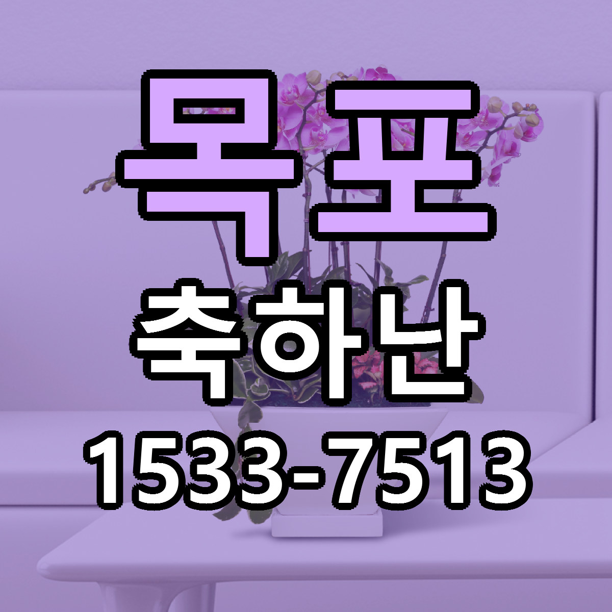 목포 축하난 싼곳 당일배송 빠른배송 추천
