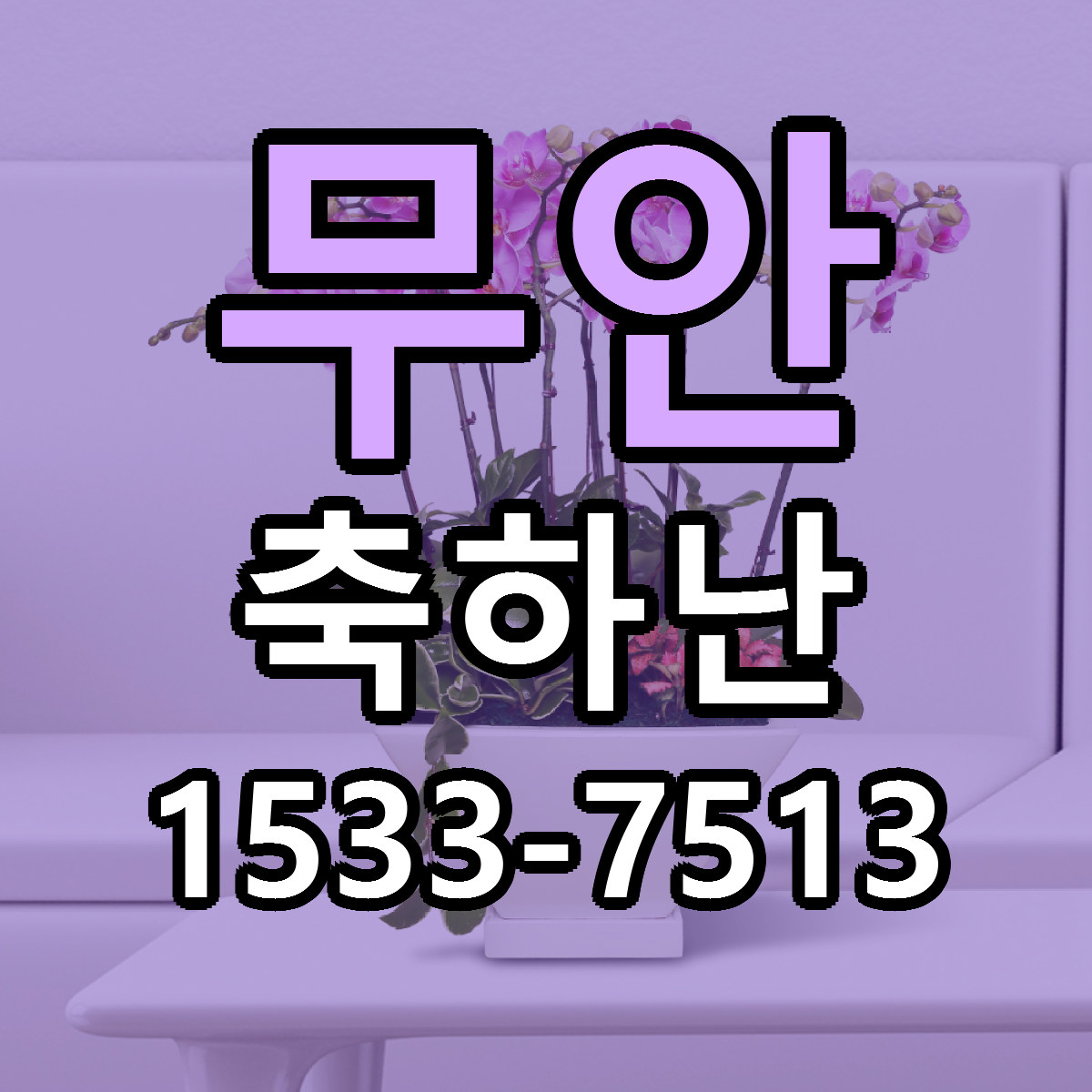 무안 축하난 리본문구 서비스 저렴한곳 빠른배송