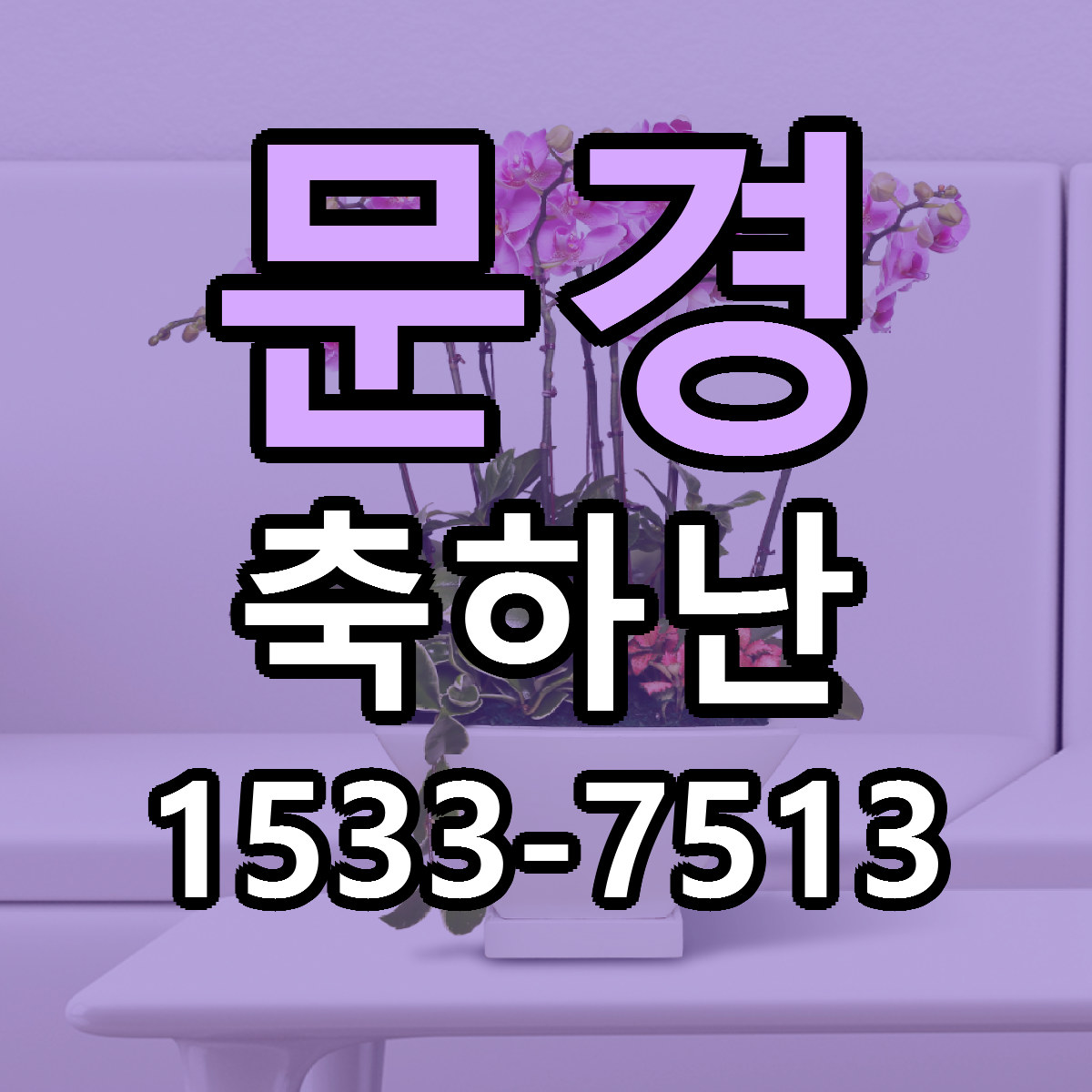 문경 축하난 근처꽃집 당일배송 리본문구 서비스
