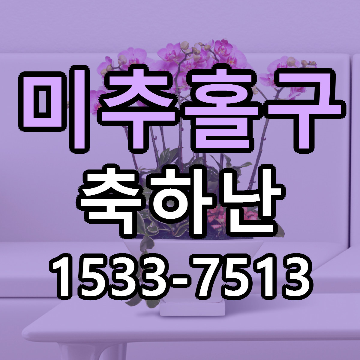 미추홀구 축하난 근처꽃집 가격 저렴한곳 안내