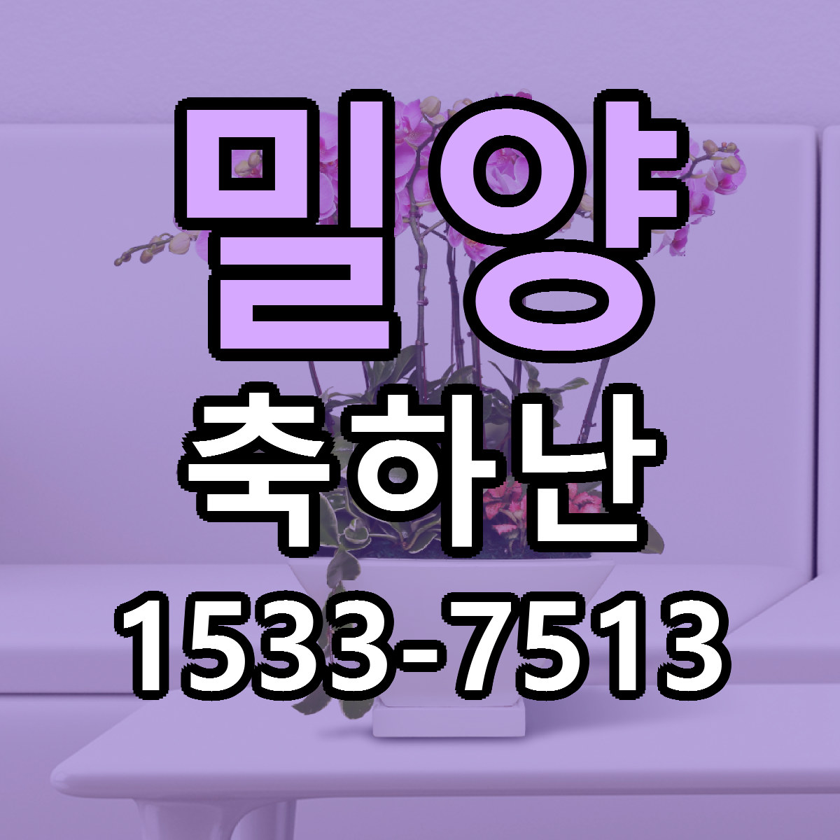 밀양 축하난 당일배송 리본문구 빠른배송 서비스