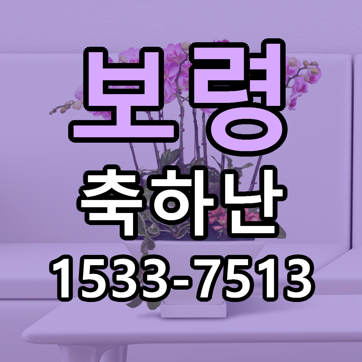 보령 축하난 당일배송 저렴한곳 리본문구 추천