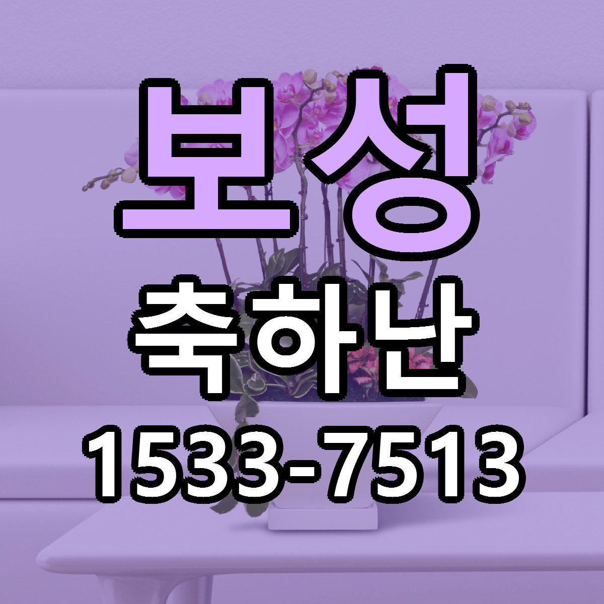 보성 축하난 당일배송 근처꽃집 싼곳 비교