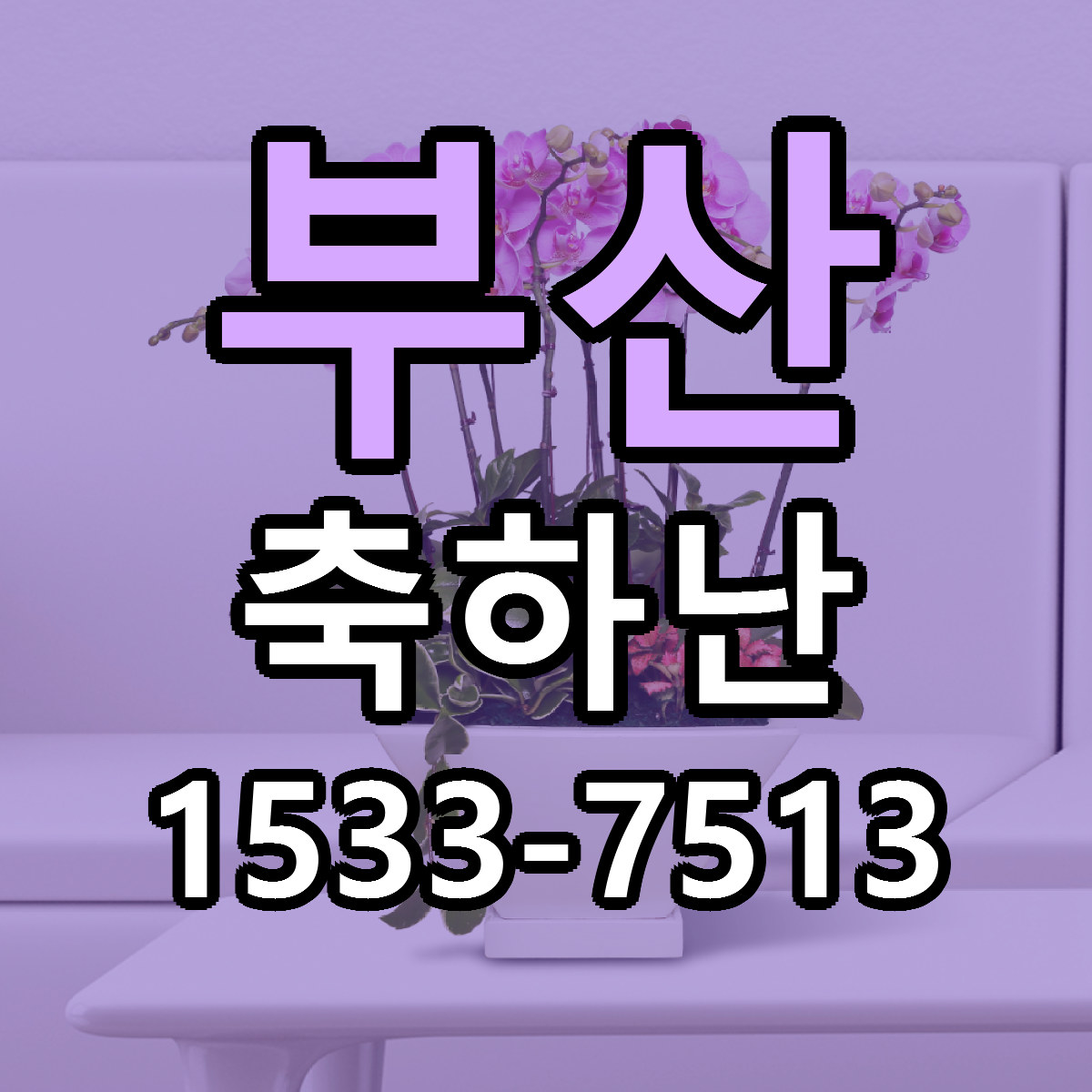 부산 축하난 가격 만족 저렴한곳 리본문구 작성