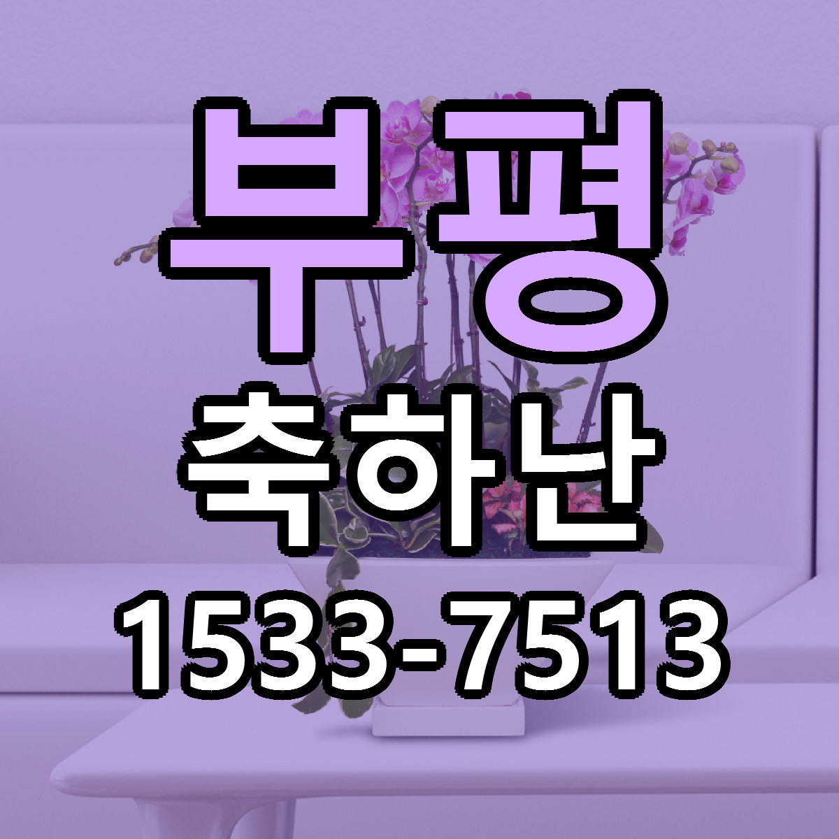 부평 축하난 당일배송 빠른배송 싼곳 찾기
