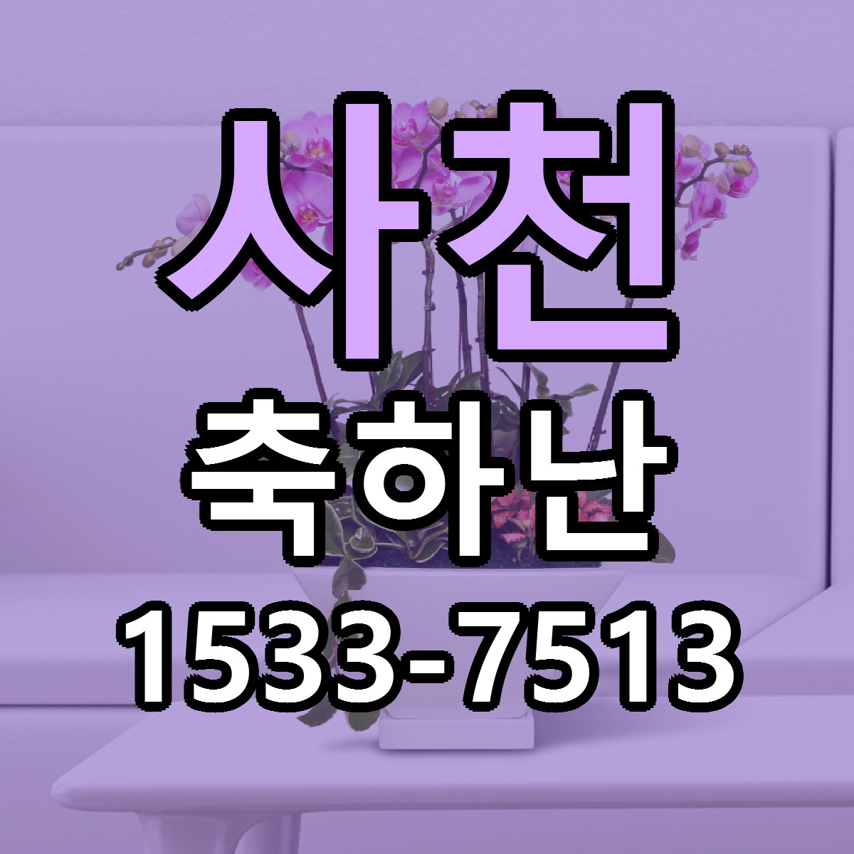 사천 축하난 빠른배송 싼곳 가격 문의