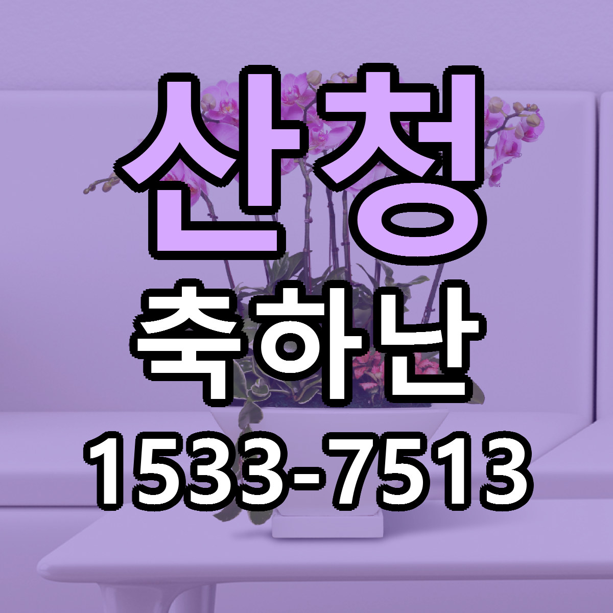 산청 축하난 싼곳 당일배송 리본문구 작성