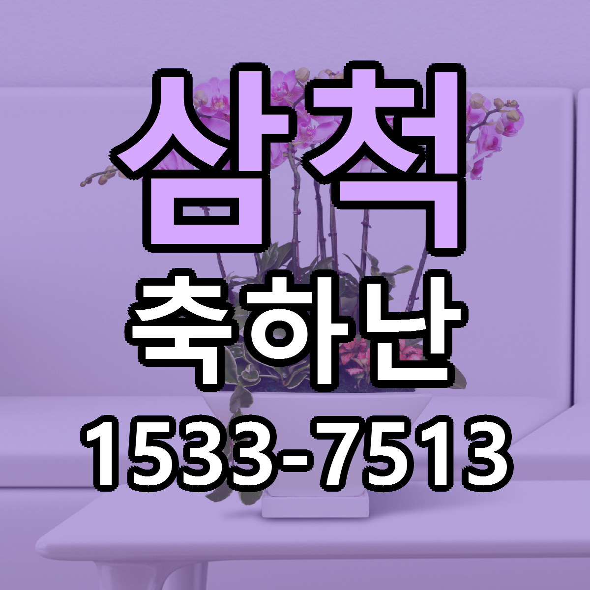 삼척 축하난 당일배송 리본문구 싼곳 찾기