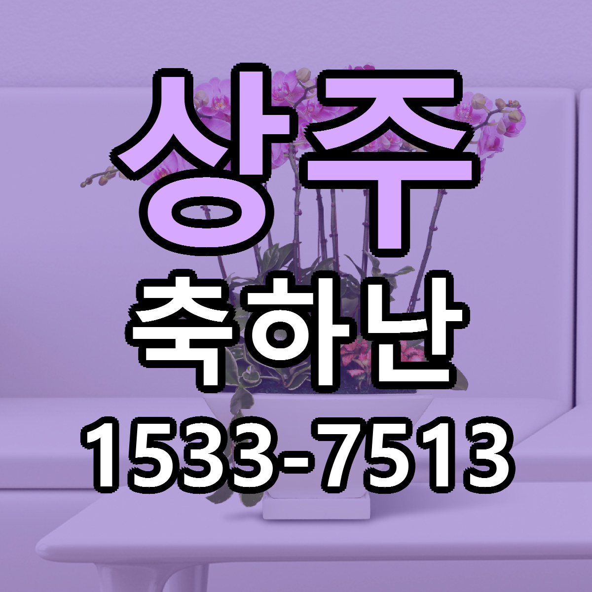 상주 축하난 가격 착한 싼곳 당일배송 안내
