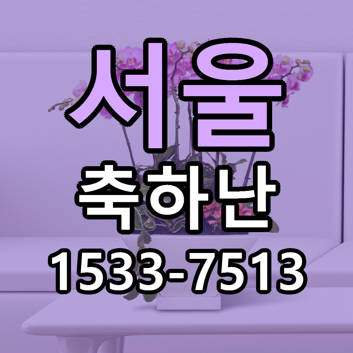 서울 축하난 빠른배송 저렴한곳 가격 정리