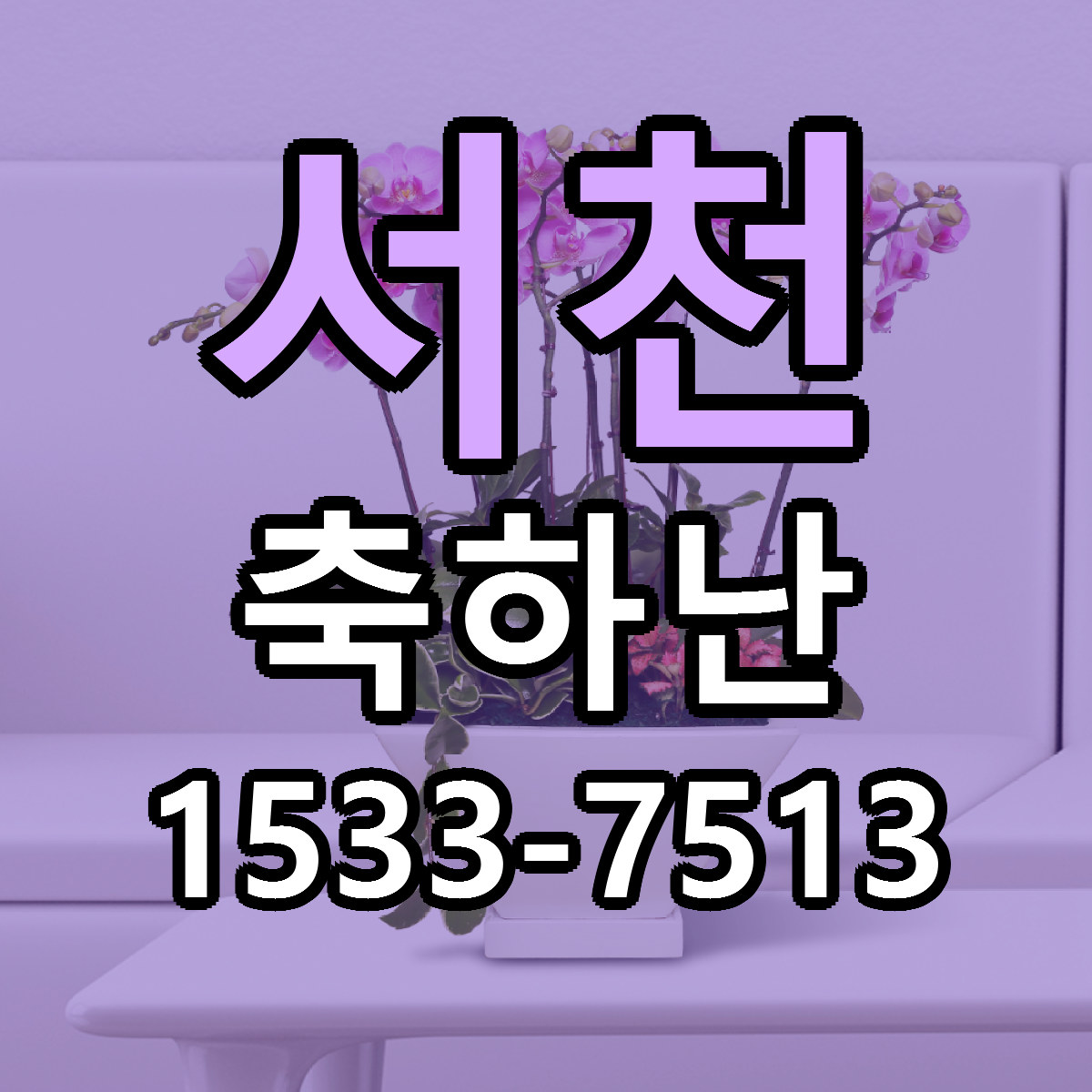 서천 축하난 가격 만족 저렴한곳 리본문구 작성